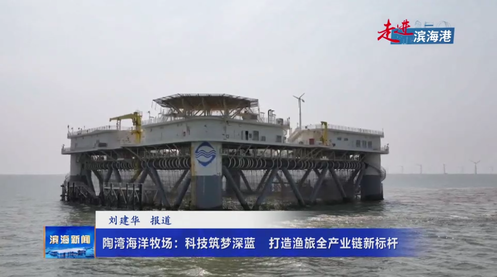 【走进滨海港】陶湾海洋牧场：科技筑梦深蓝 打