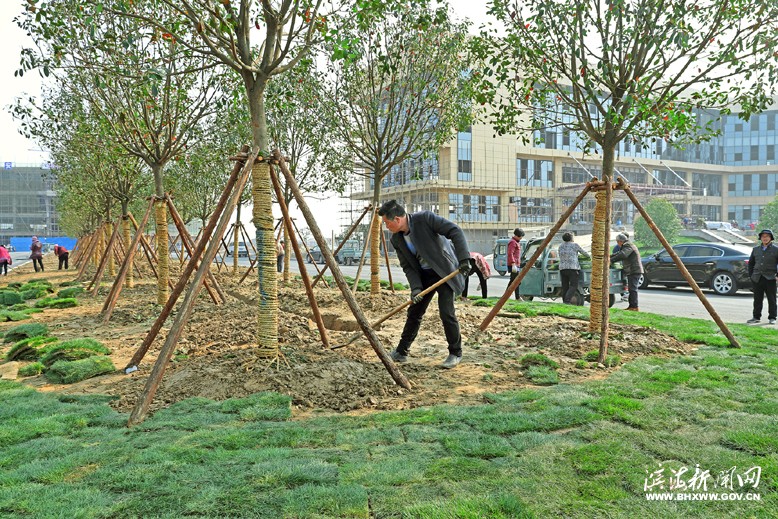 美康药业公司项目建设现场