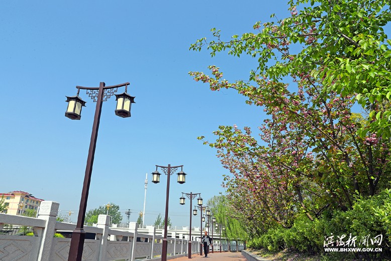 沿河风光带