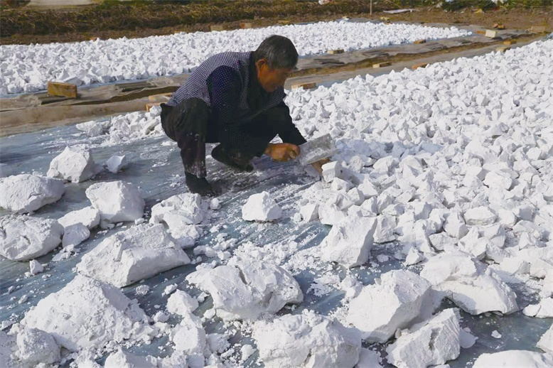 陈涛镇五层村山芋粉丝制作现场