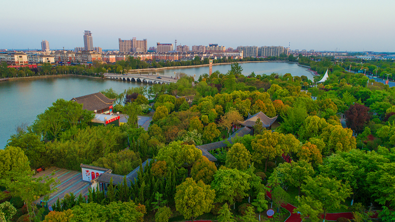 文明花开满滨城