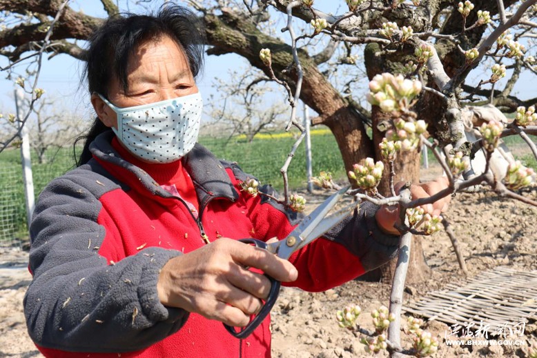 农业园果农做好春耕春种