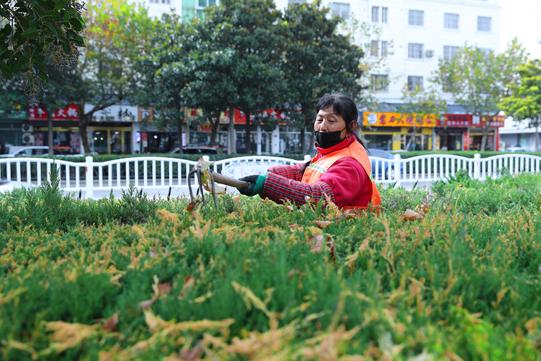 我县重抓环境整治和城市美化