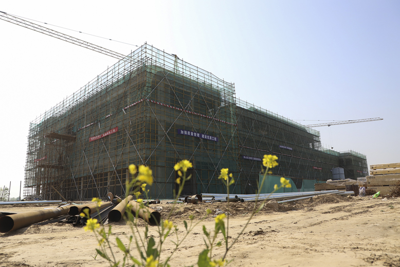 公共卫生服务体系建设